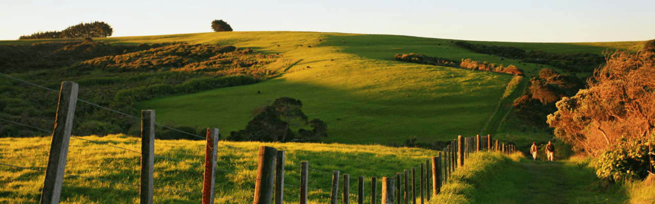 Webpage Banner - Bottom