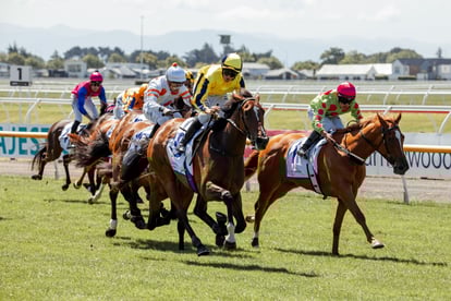 NZME Riccarton Racecourse Partnership 2
