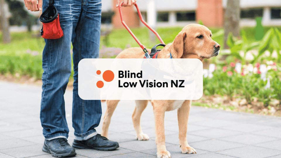 Blind Low Vision NZ