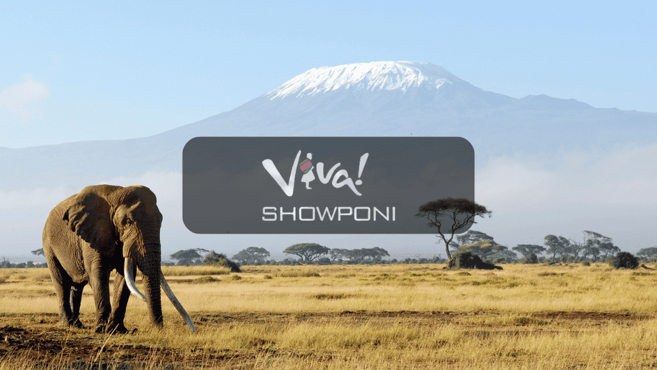 Viva Expreditions